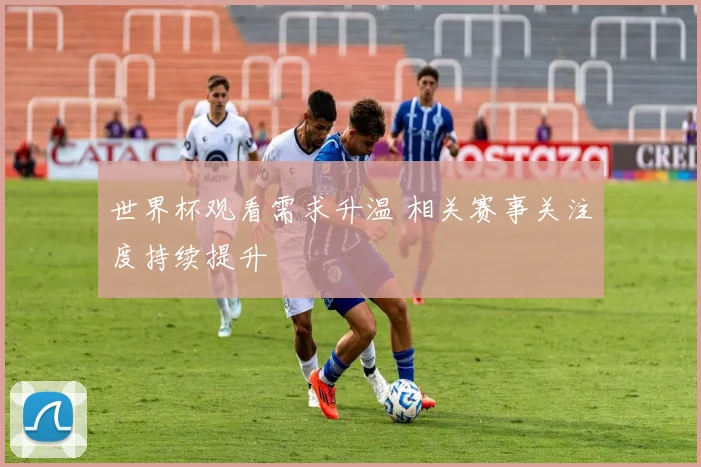 世界杯观看需求升温 相关赛事关注度持续提升